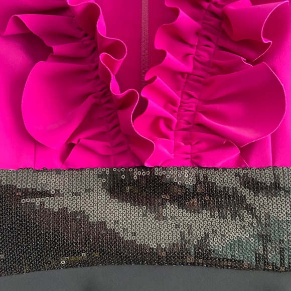 GRETA CONSTANTINE RARE APPLIQUE RUFFLE SEQUIN KNEE LENGTH V-NECK DRESS MARKLE - Picture 7 of 16